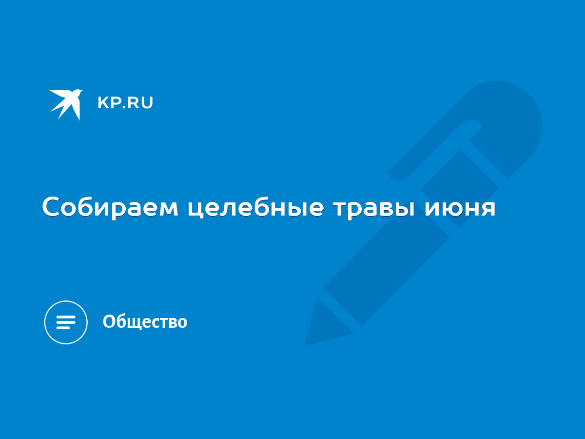 Собираем целебные травы июня - KP.RU