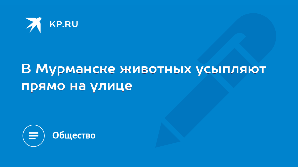 В Мурманске животных усыпляют прямо на улице - KP.RU