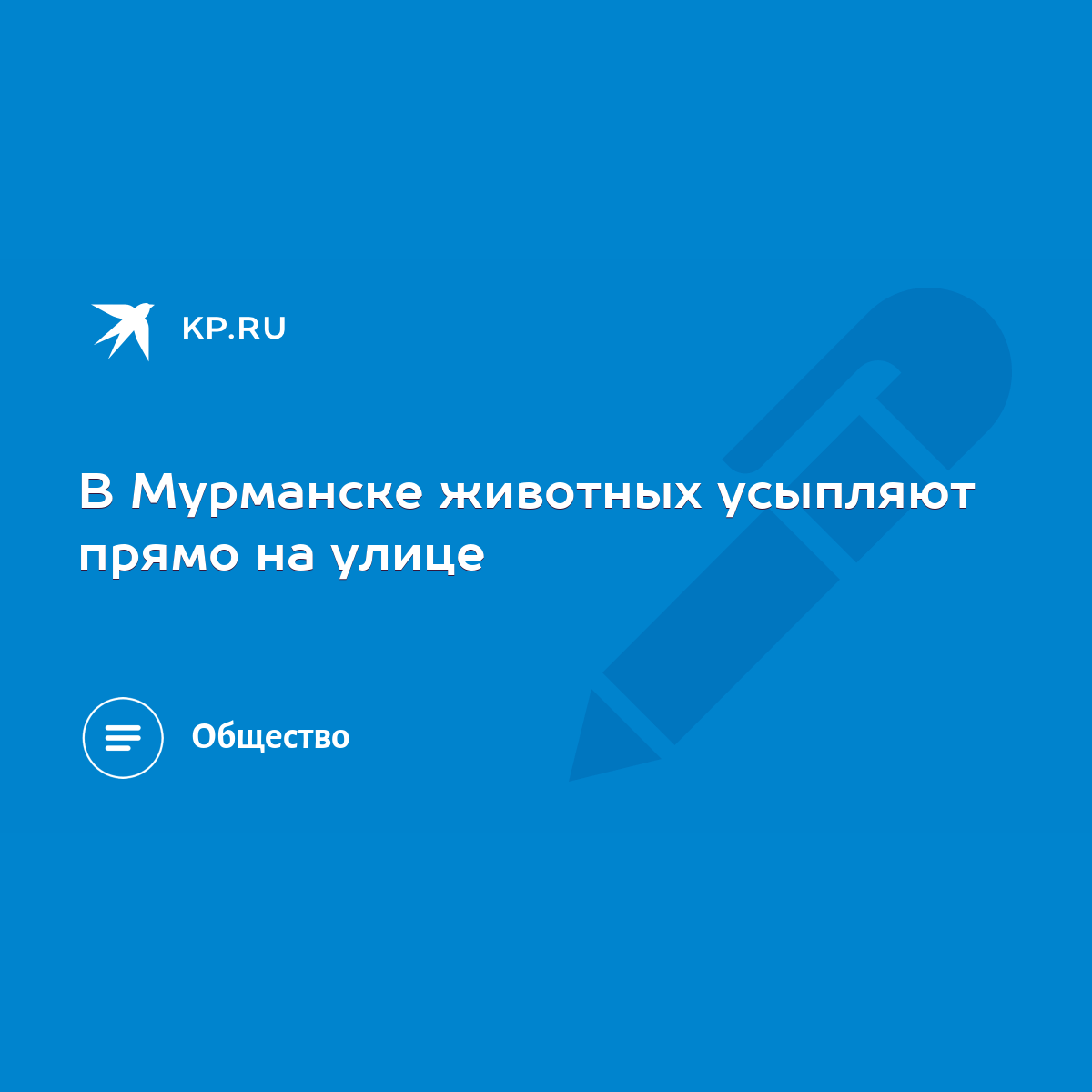 В Мурманске животных усыпляют прямо на улице - KP.RU