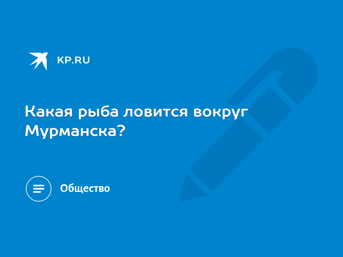 Какая рыба ловится вокруг Мурманска? - KP.RU