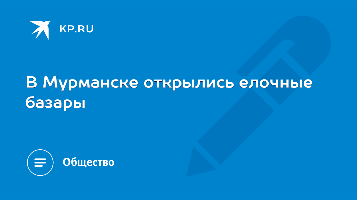 В Мурманске открылись елочные базары - KP.RU