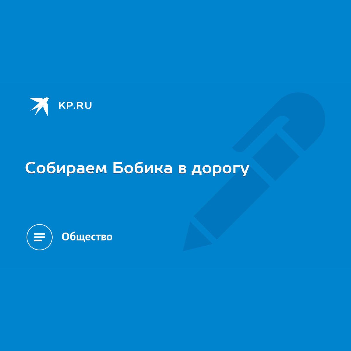 Собираем Бобика в дорогу - KP.RU