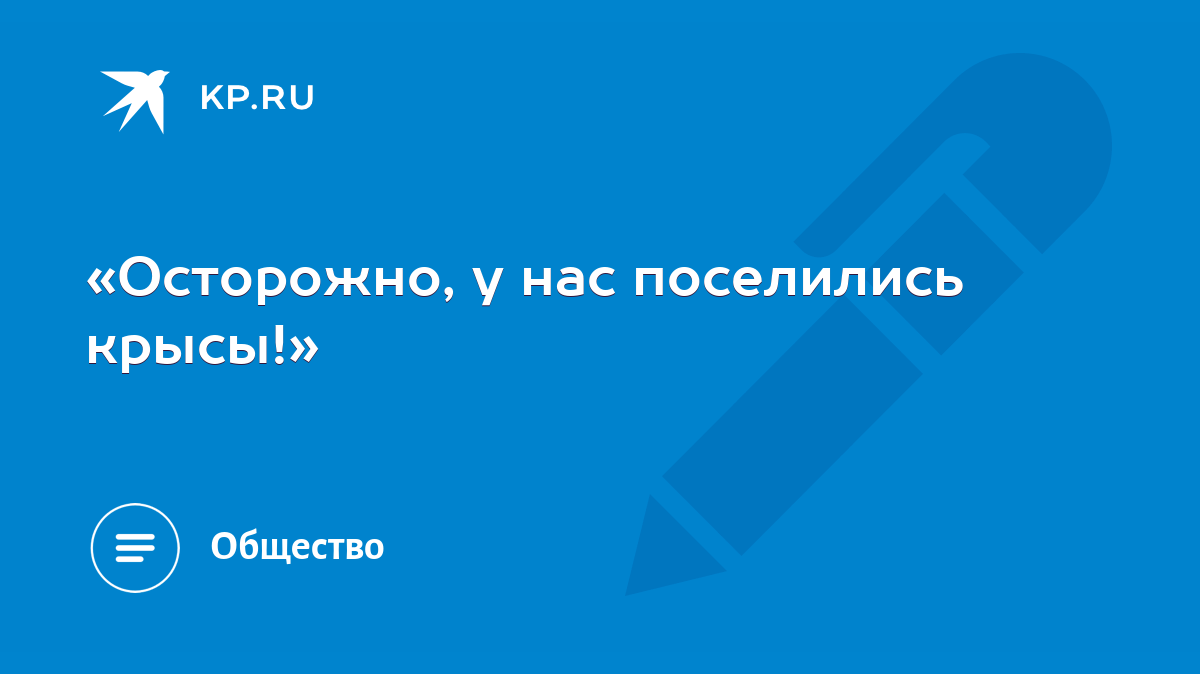 Осторожно, у нас поселились крысы!» - KP.RU