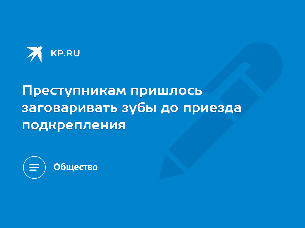 Преступникам пришлось заговаривать зубы до приезда подкрепления - KP.RU