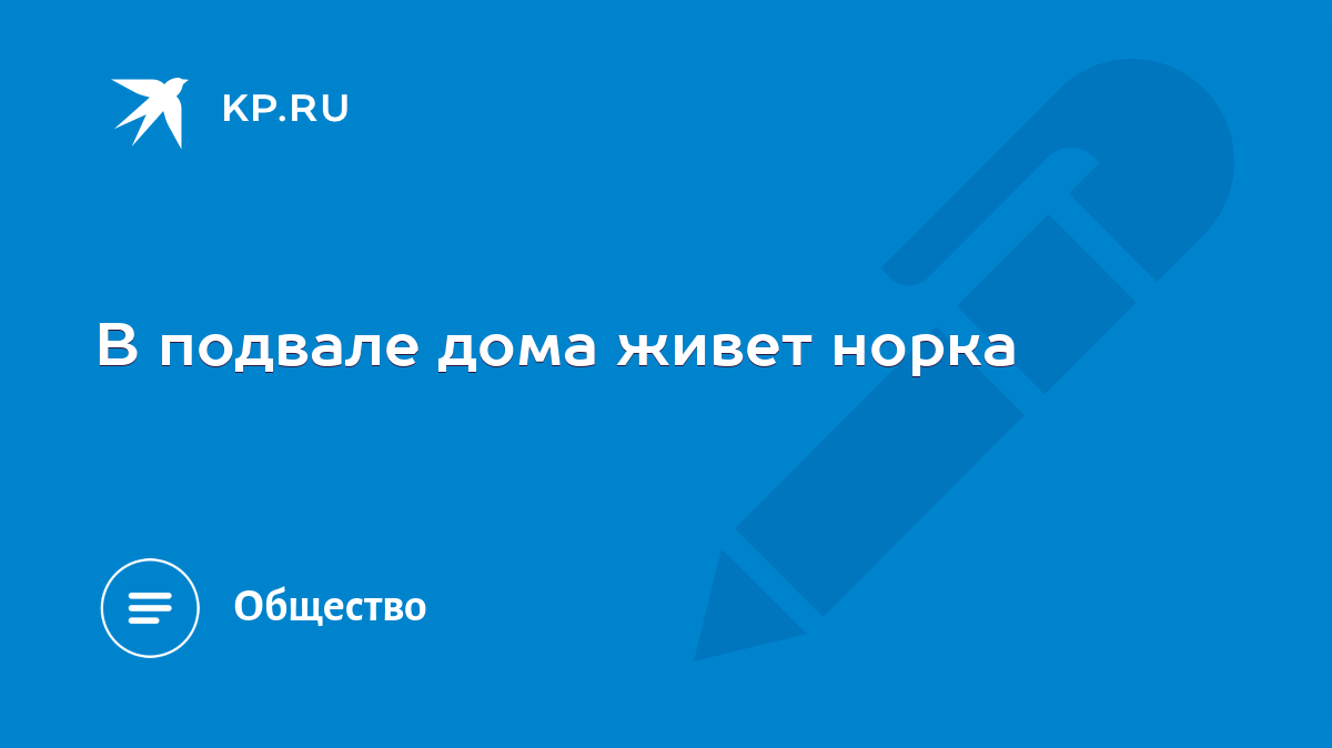 В подвале дома живет норка - KP.RU