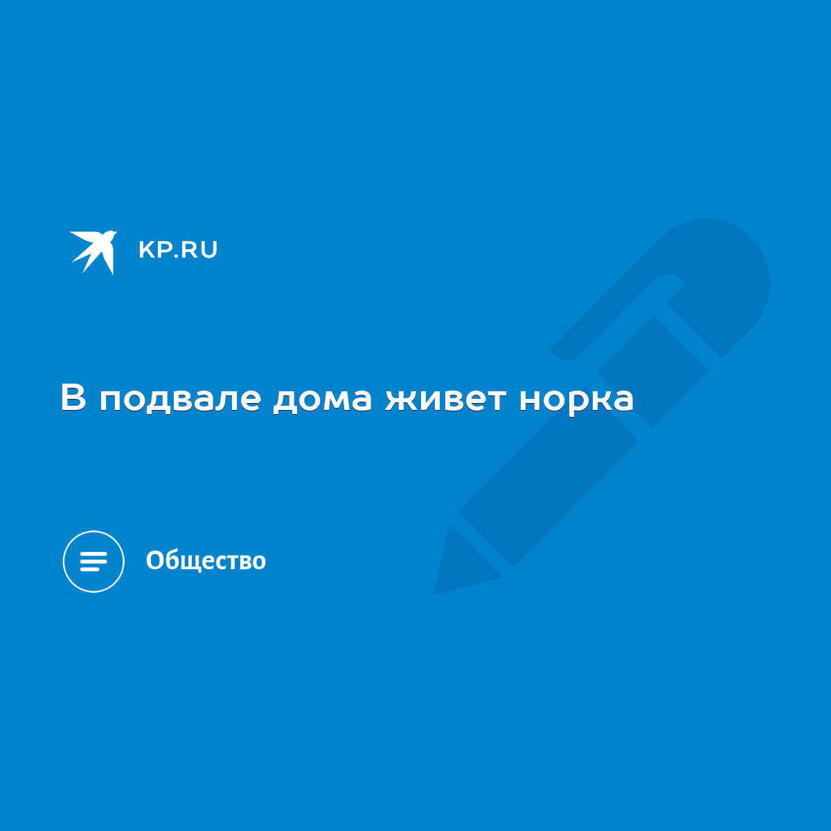 В подвале дома живет норка - KP.RU