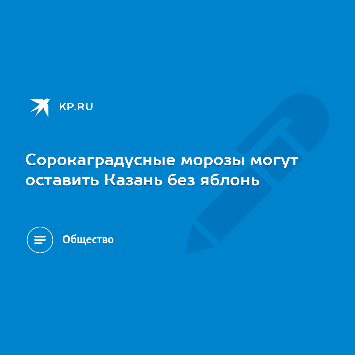 Сорокаградусные морозы могут оставить Казань без яблонь - KP.RU