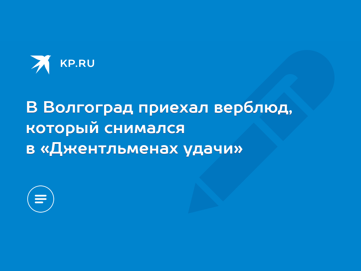 В Волгоград приехал верблюд, который снимался в «Джентльменах удачи» - KP.RU