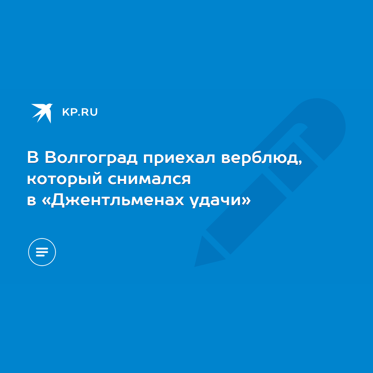 В Волгоград приехал верблюд, который снимался в «Джентльменах удачи» - KP.RU