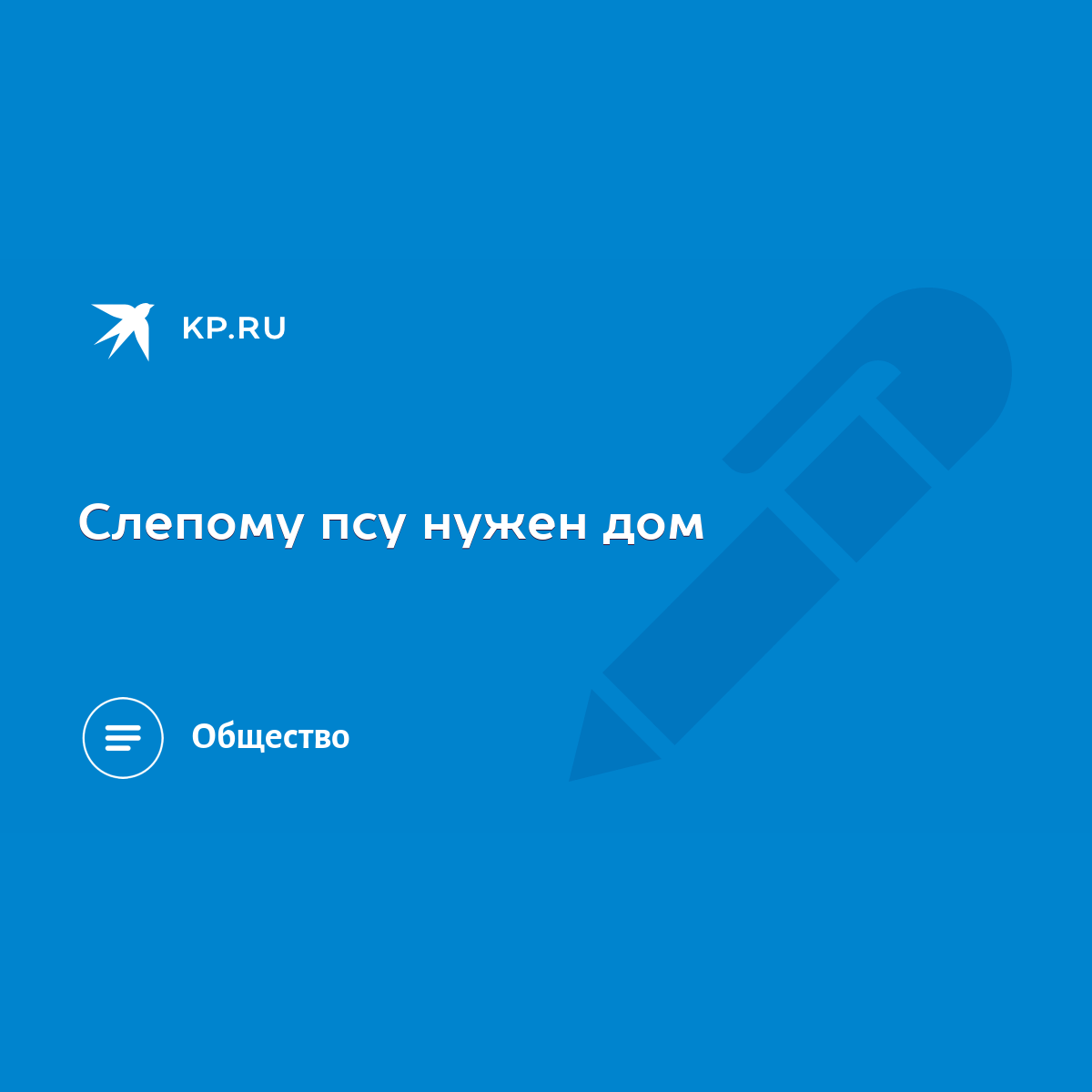 Слепому псу нужен дом - KP.RU