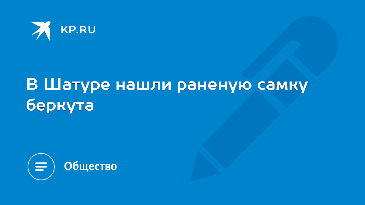 В Шатуре нашли раненую самку беркута - KP.RU