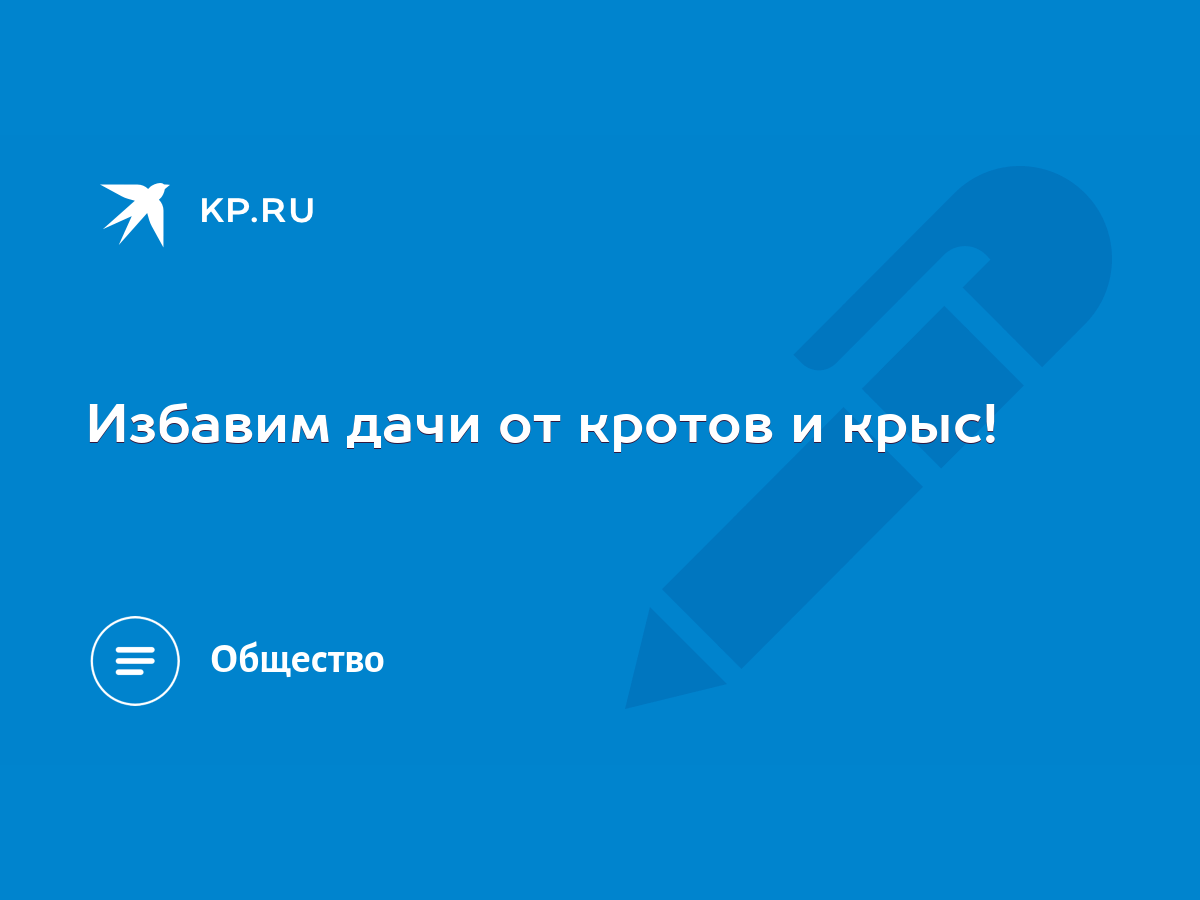 Избавим дачи от кротов и крыс! - KP.RU