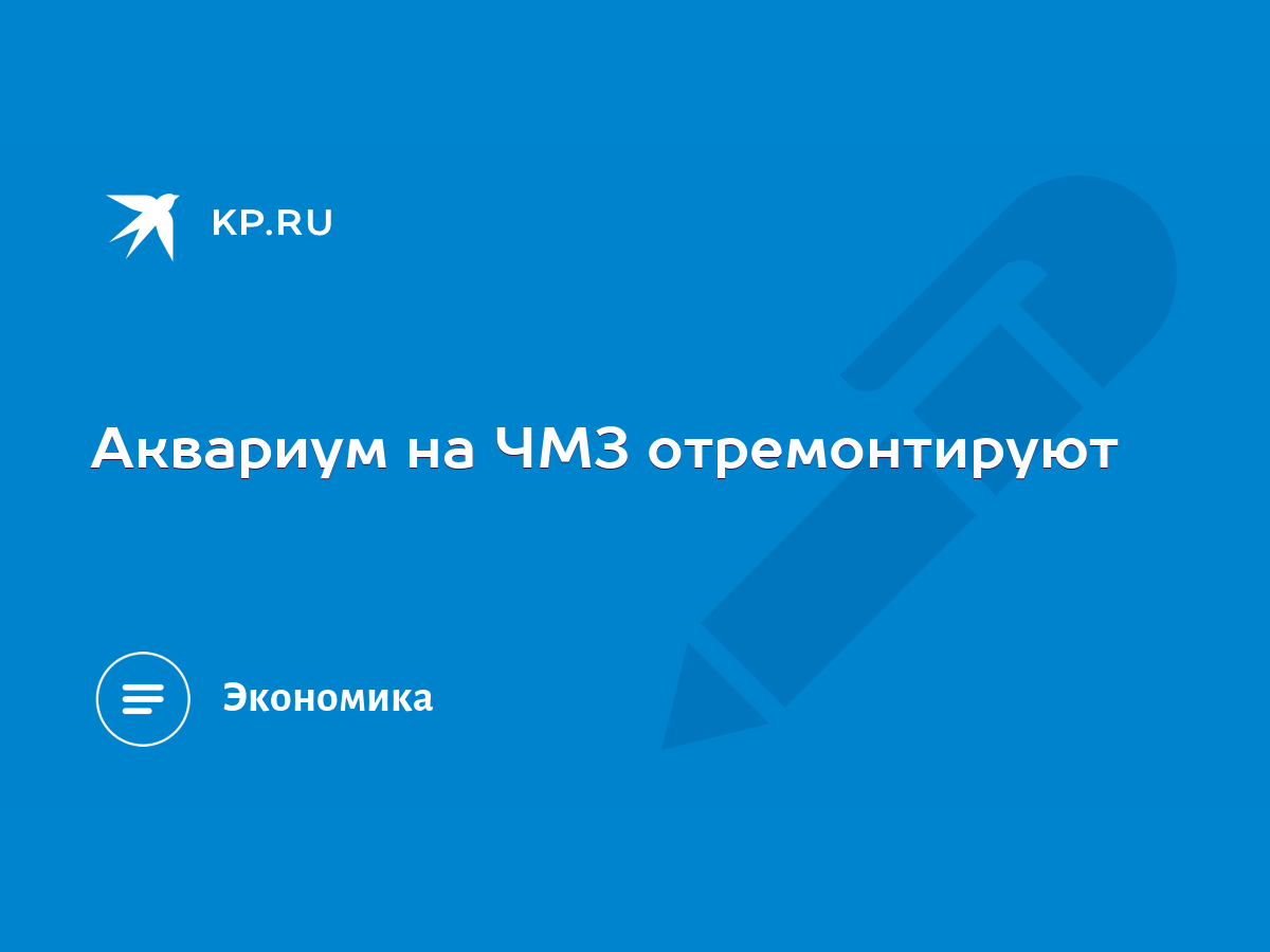 Аквариум на ЧМЗ отремонтируют - KP.RU