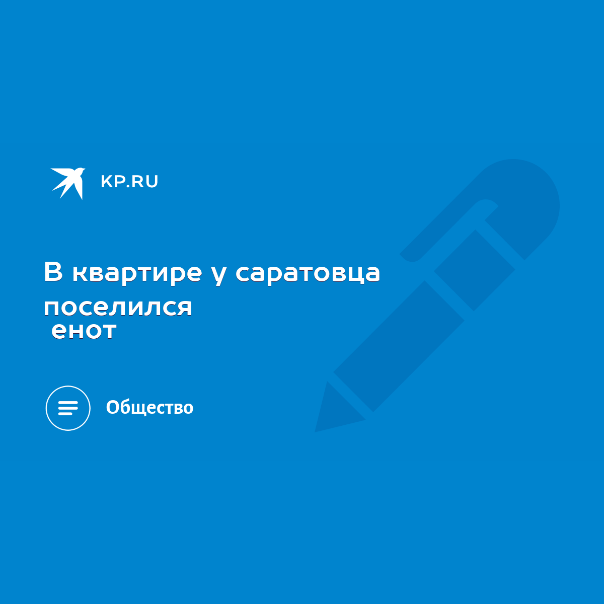 В квартире у саратовца поселился енот - KP.RU