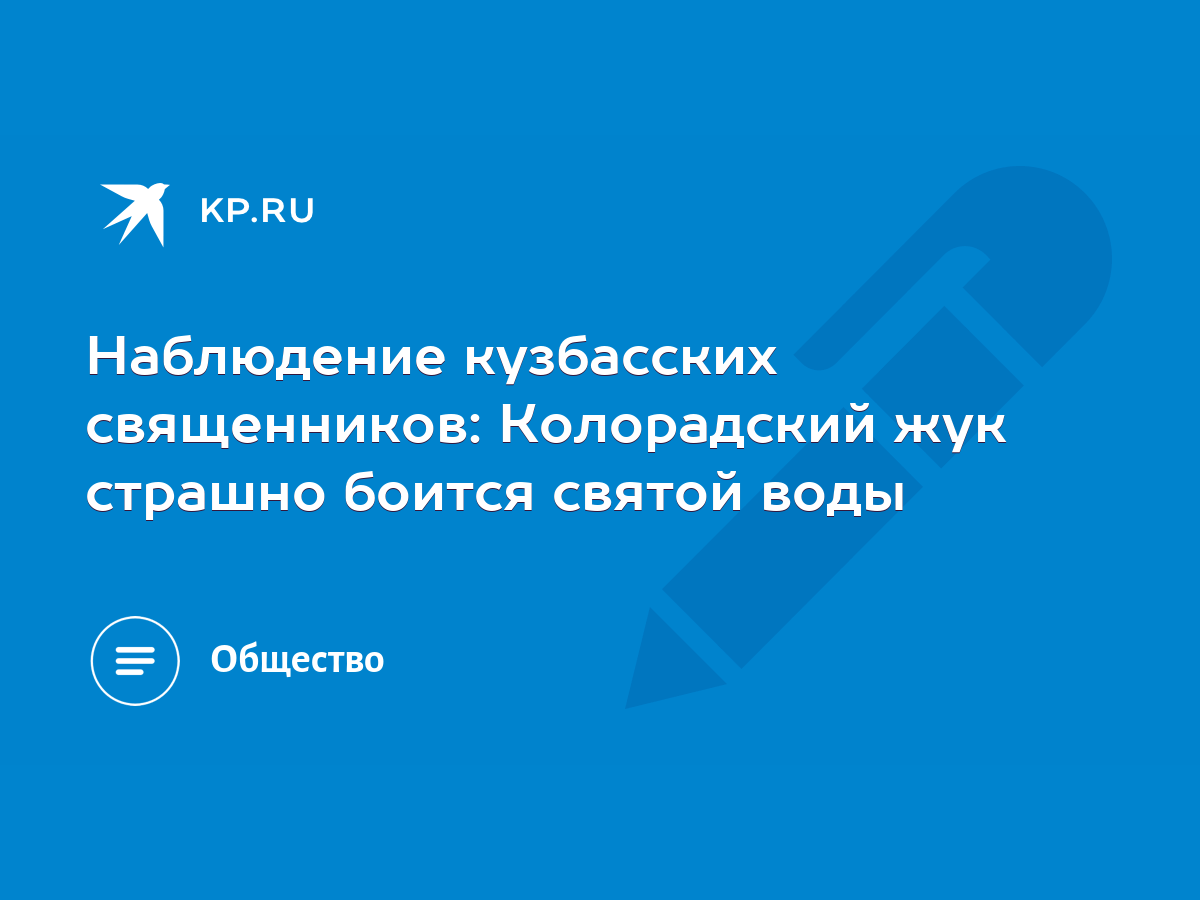 Наблюдение кузбасских священников: Колорадский жук страшно боится святой  воды - KP.RU