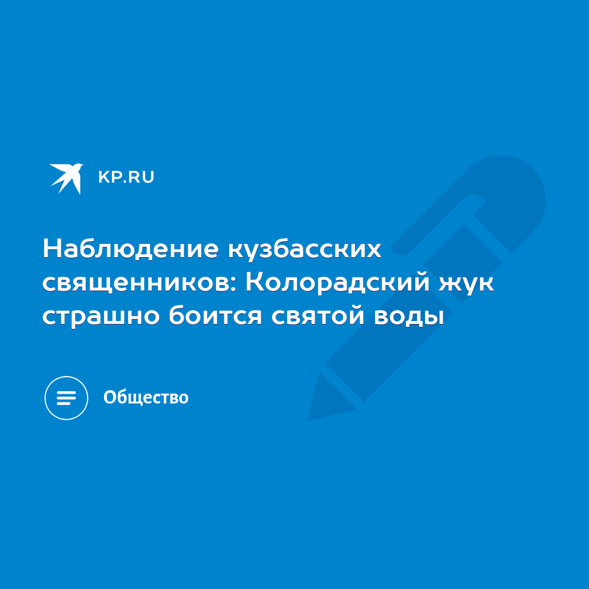 Наблюдение кузбасских священников: Колорадский жук страшно боится святой  воды - KP.RU