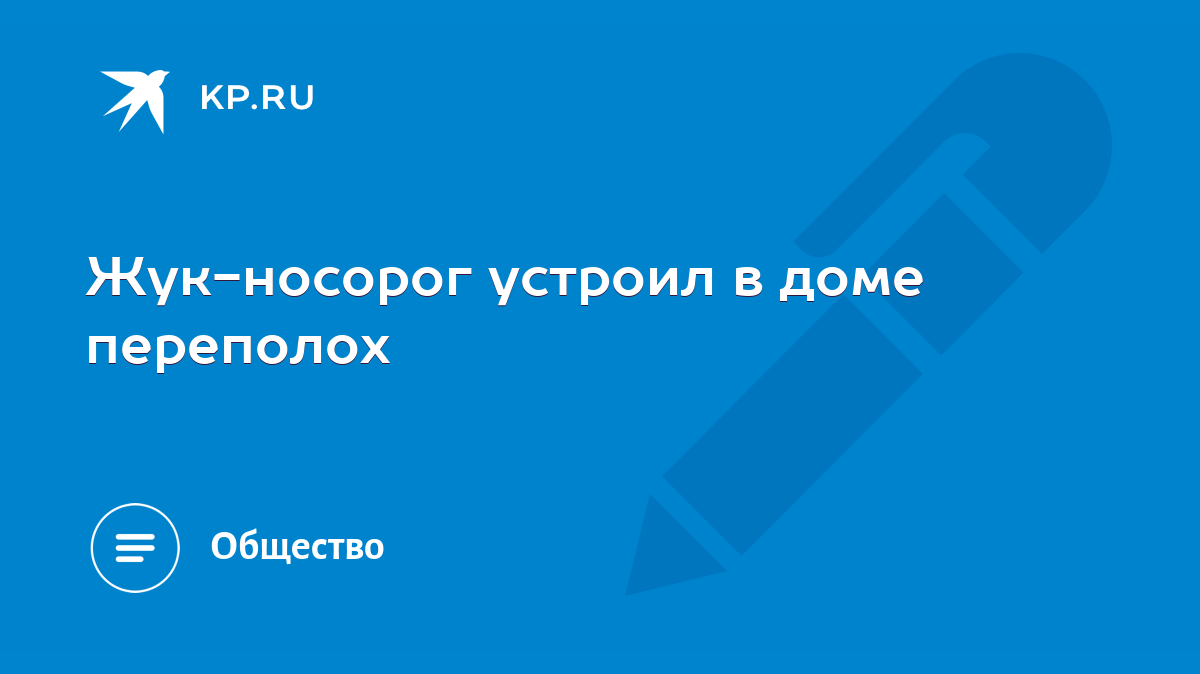 Жук-носорог устроил в доме переполох - KP.RU