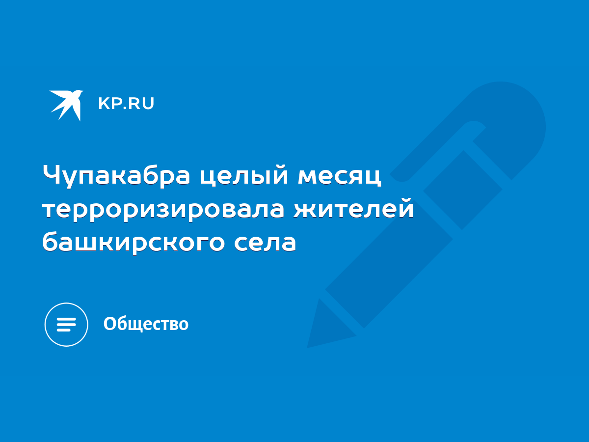 Чупакабра целый месяц терроризировала жителей башкирского села - KP.RU