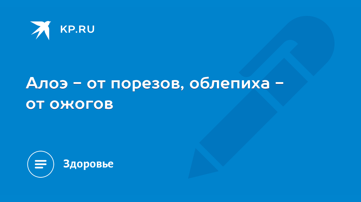 Алоэ - от порезов, облепиха - от ожогов - KP.RU