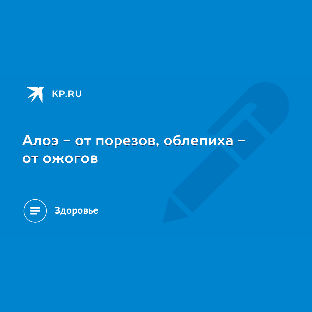 Алоэ - от порезов, облепиха - от ожогов - KP.RU