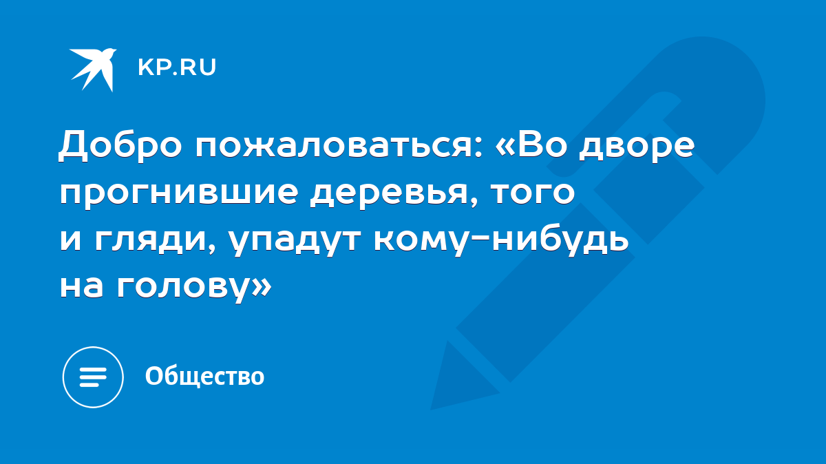 Добро пожаловаться: «Во дворе прогнившие деревья, того и гляди, упадут  кому-нибудь на голову» - KP.RU