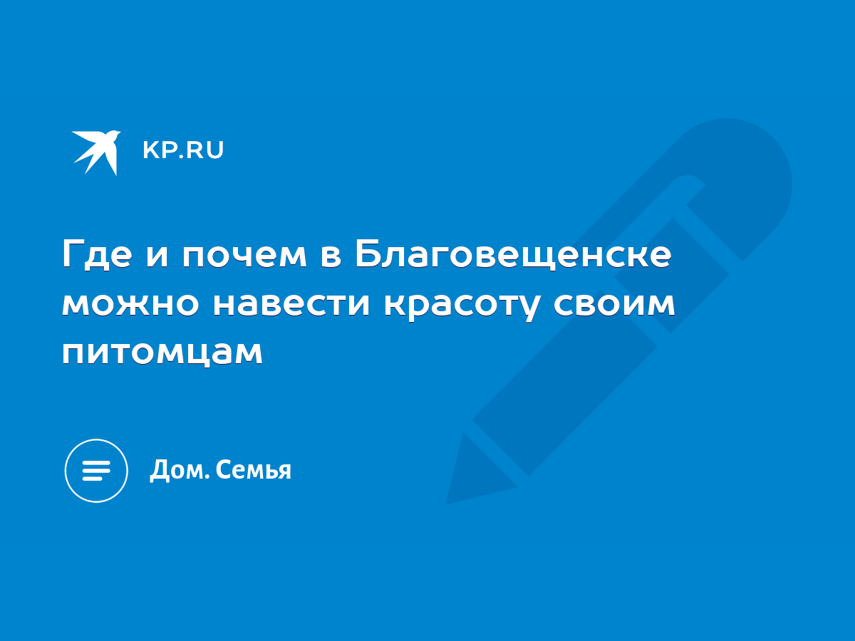 Где и почем в Благовещенске можно навести красоту своим питомцам - KP.RU