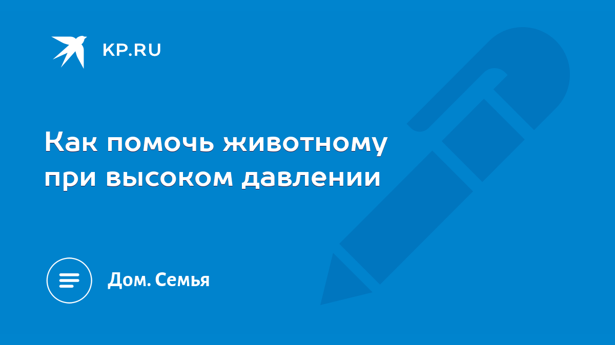 Как помочь животному при высоком давлении - KP.RU