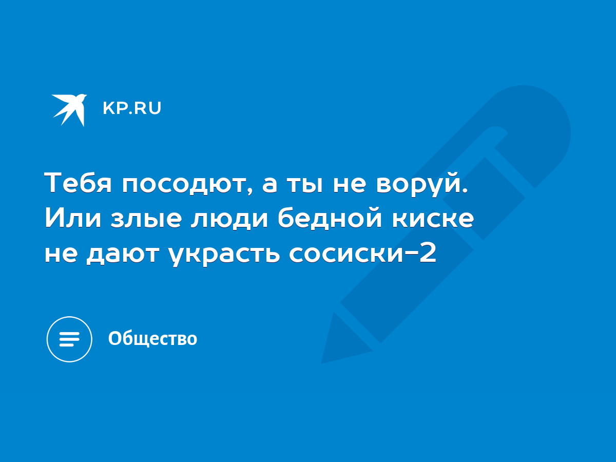 Тебя посодют, а ты не воруй. Или злые люди бедной киске не дают украсть  сосиски-2 - KP.RU