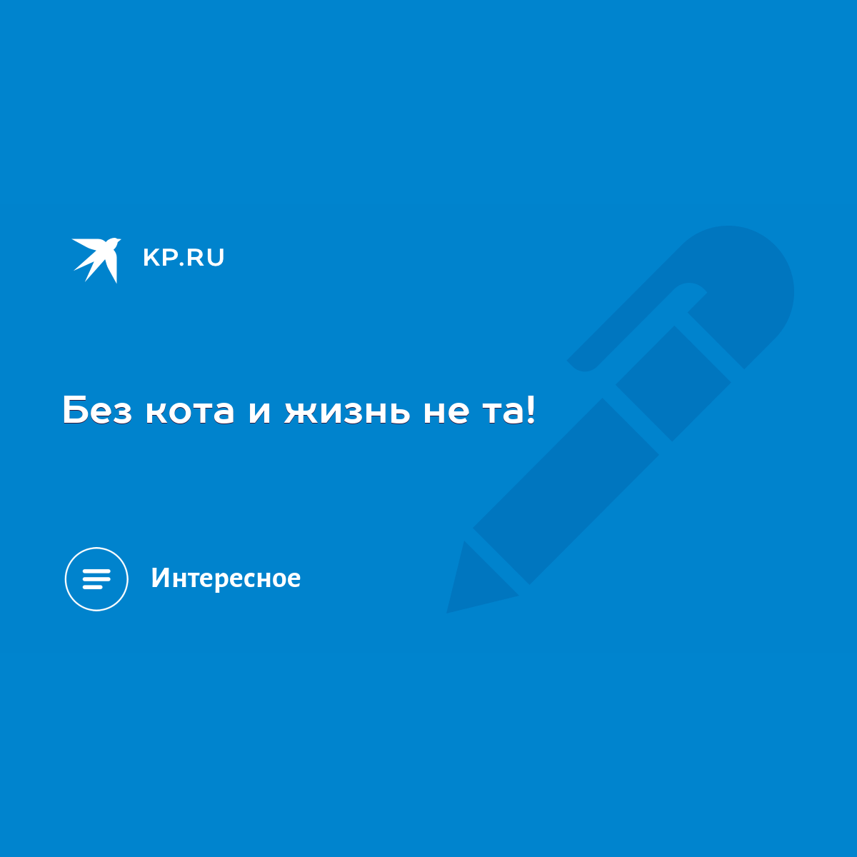 Без кота и жизнь не та! - KP.RU