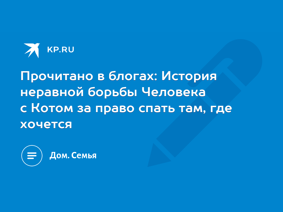 Прочитано в блогах: История неравной борьбы Человека с Котом за право спать  там, где хочется - KP.RU