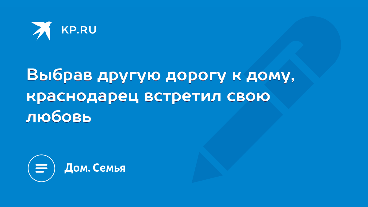 Выбрав другую дорогу к дому, краснодарец встретил свою любовь - KP.RU