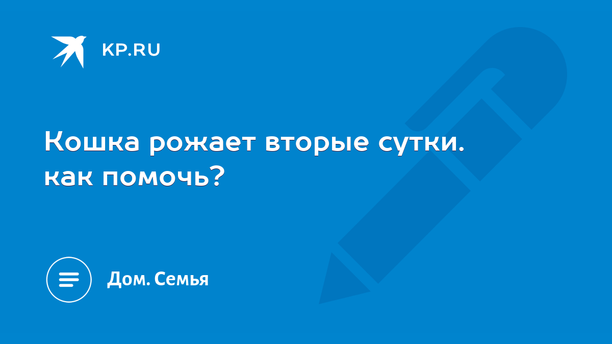 Кошка рожает вторые сутки. как помочь? - KP.RU