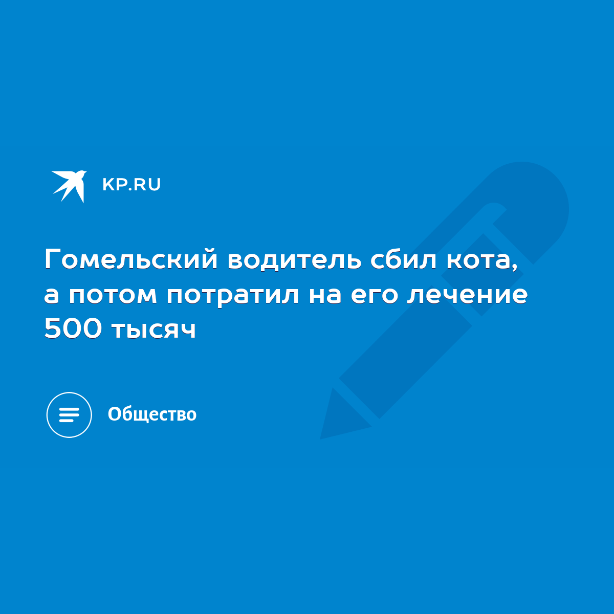 Гомельский водитель сбил кота, а потом потратил на его лечение 500 тысяч -  KP.RU