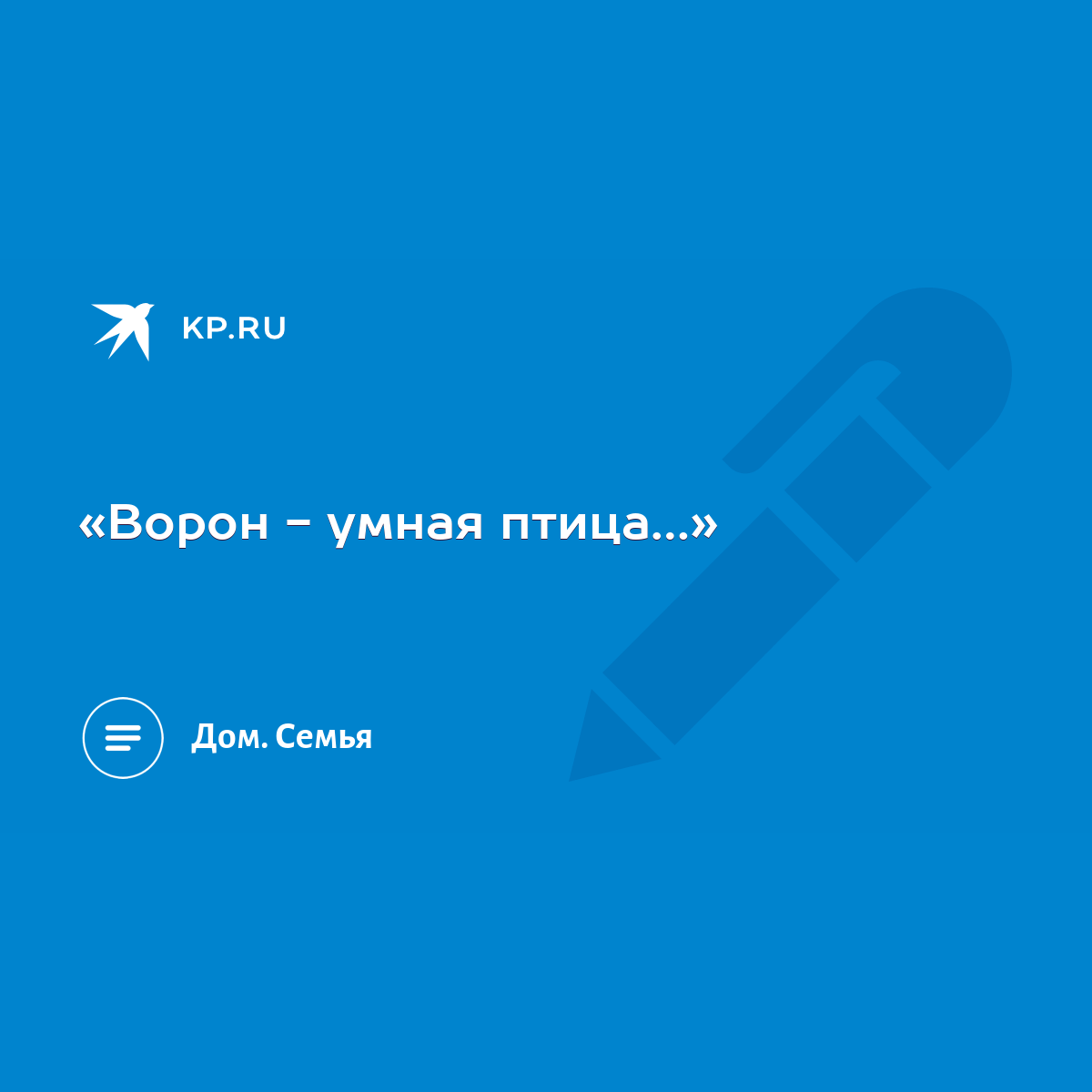 Ворон - умная птица…» - KP.RU