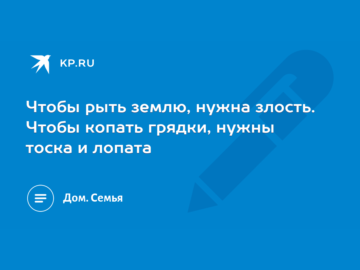 Чтобы рыть землю, нужна злость. Чтобы копать грядки, нужны тоска и лопата -  KP.RU