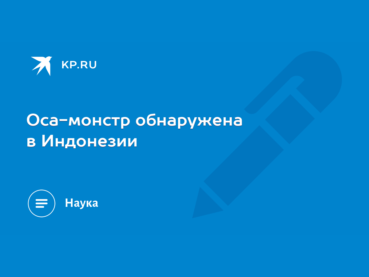 Оса-монстр обнаружена в Индонезии - KP.RU