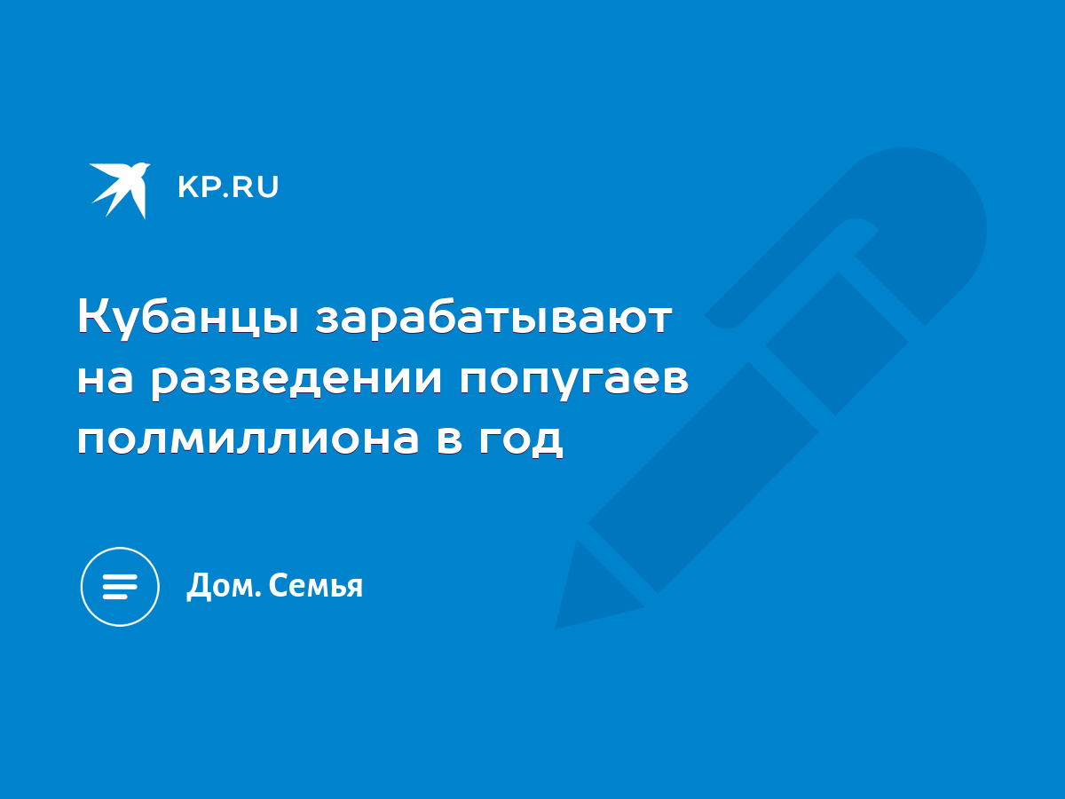 Кубанцы зарабатывают на разведении попугаев полмиллиона в год - KP.RU