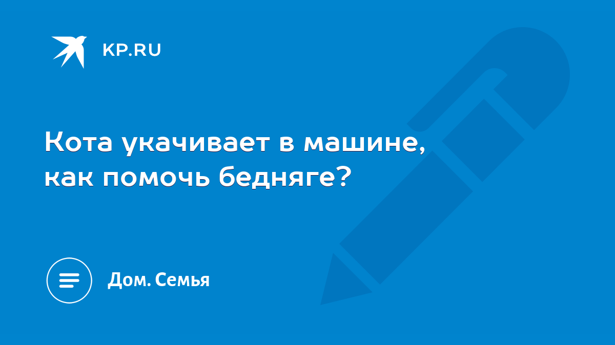 Кота укачивает в машине, как помочь бедняге? - KP.RU