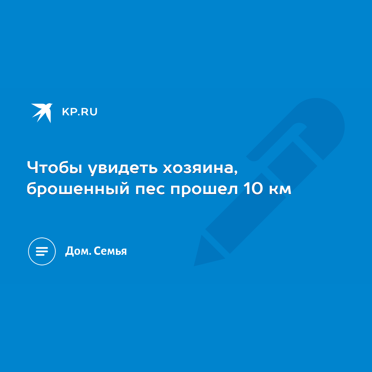 Чтобы увидеть хозяина, брошенный пес прошел 10 км - KP.RU