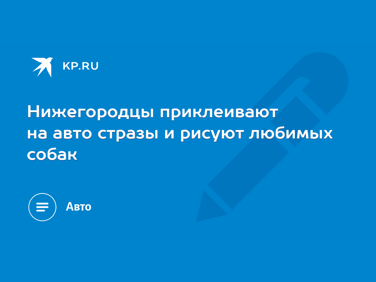 Нижегородцы приклеивают на авто стразы и рисуют любимых собак - KP.RU