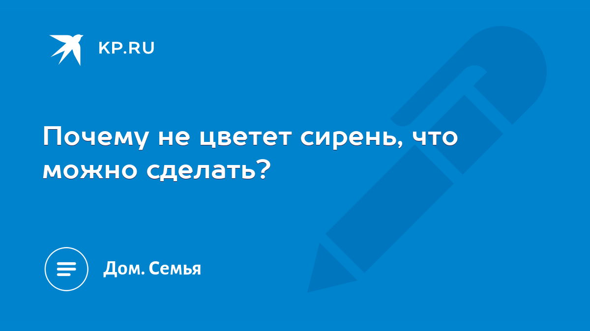 Почему не цветет сирень, что можно сделать? - KP.RU