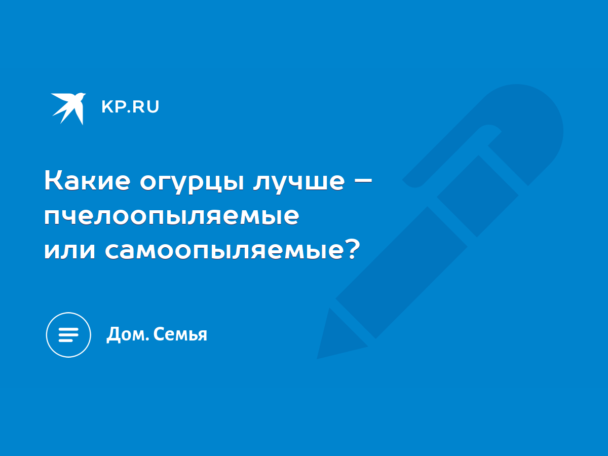 Какие огурцы лучше – пчелоопыляемые или самоопыляемые? - KP.RU