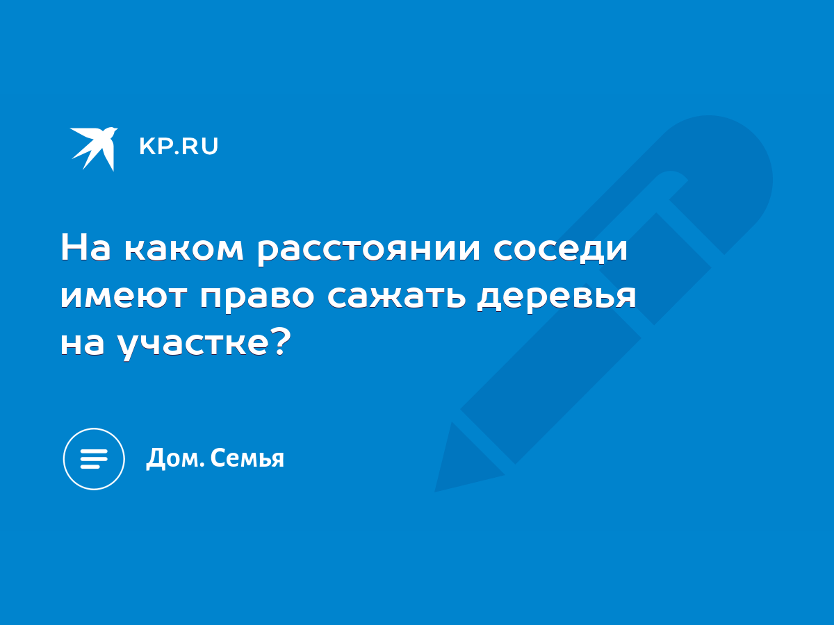 На каком расстоянии соседи имеют право сажать деревья на участке? - KP.RU