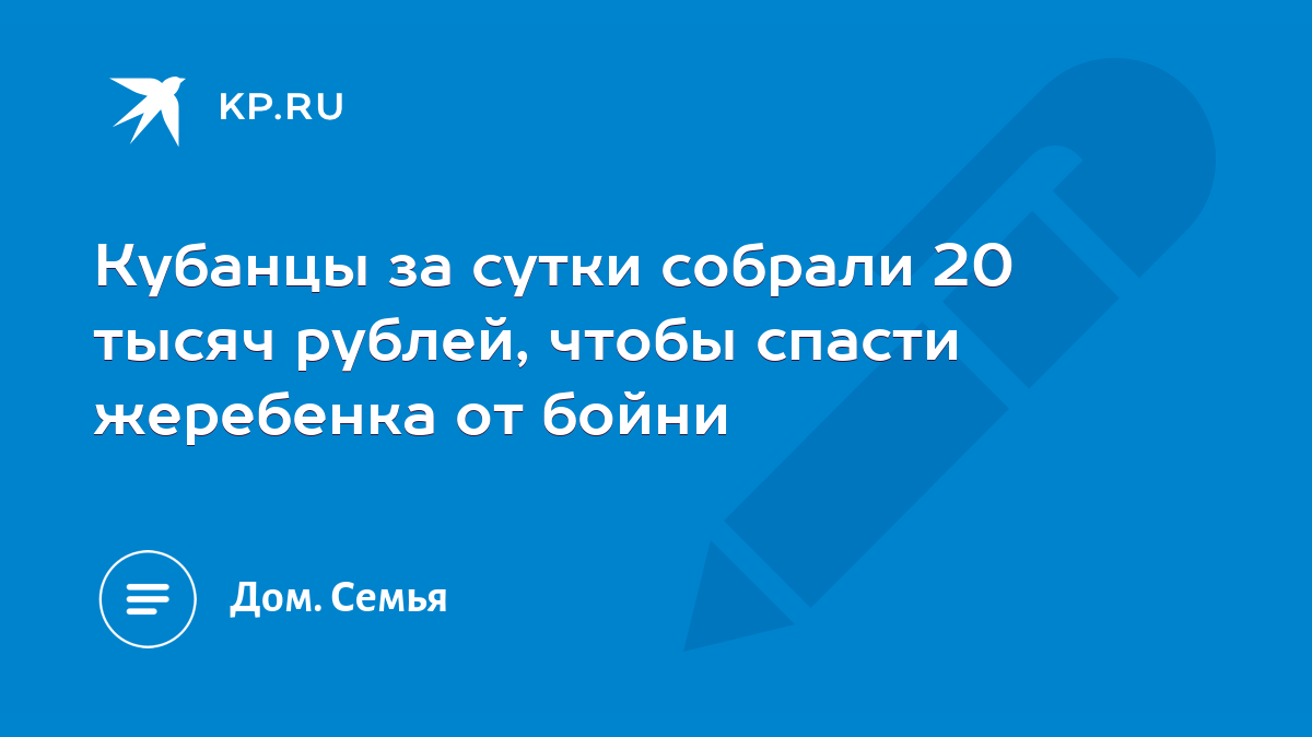 Кубанцы за сутки собрали 20 тысяч рублей, чтобы спасти жеребенка от бойни -  KP.RU