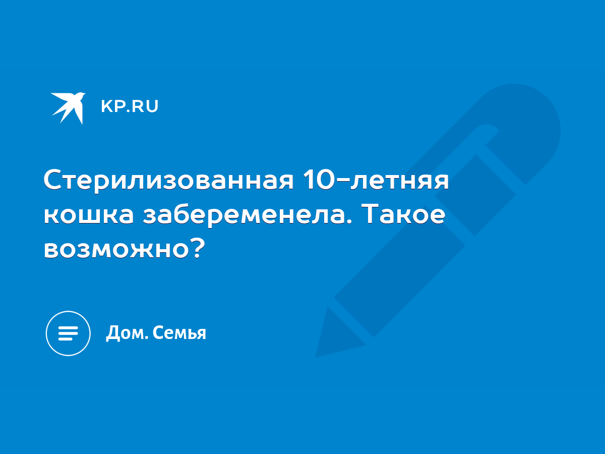 Стерилизованная 10-летняя кошка забеременела. Такое возможно? - KP.RU