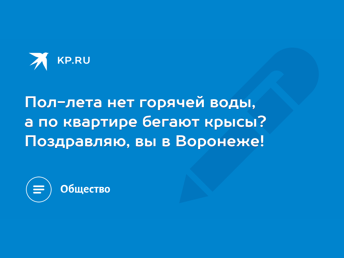 Пол-лета нет горячей воды, а по квартире бегают крысы? Поздравляю, вы в  Воронеже! - KP.RU