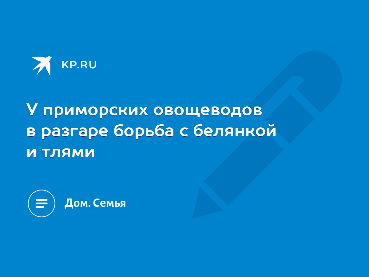 У приморских овощеводов в разгаре борьба с белянкой и тлями - KP.RU