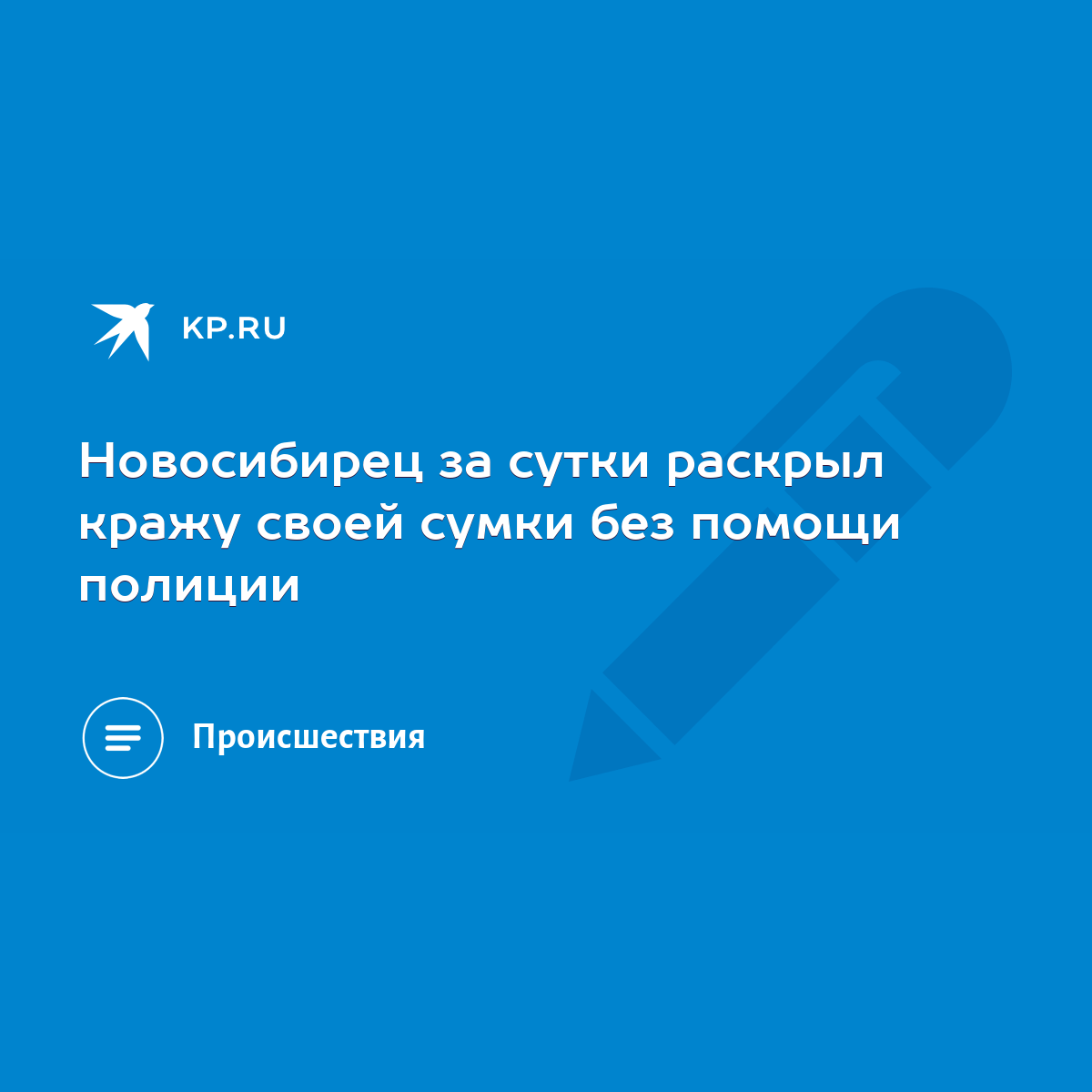 Новосибирец за сутки раскрыл кражу своей сумки без помощи полиции - KP.RU