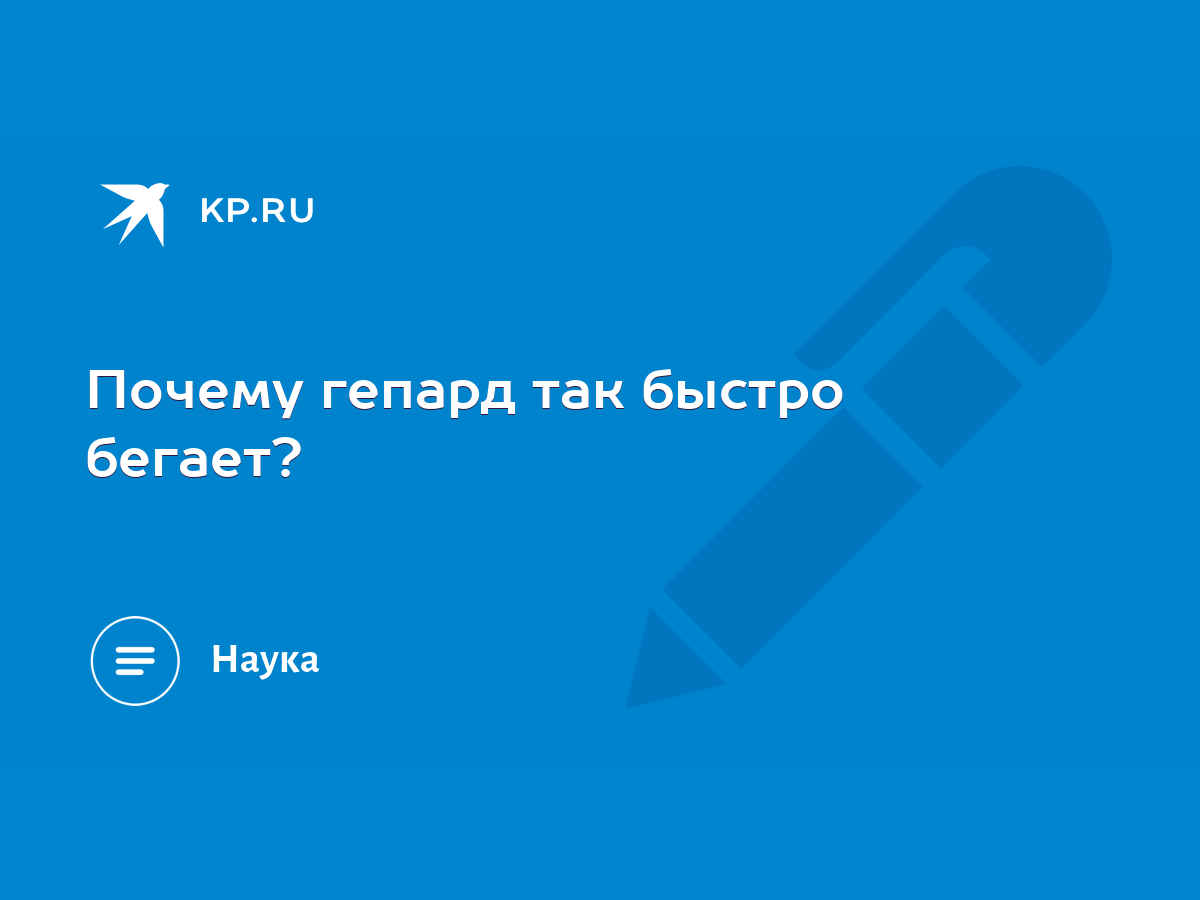 Почему гепард так быстро бегает? - KP.RU