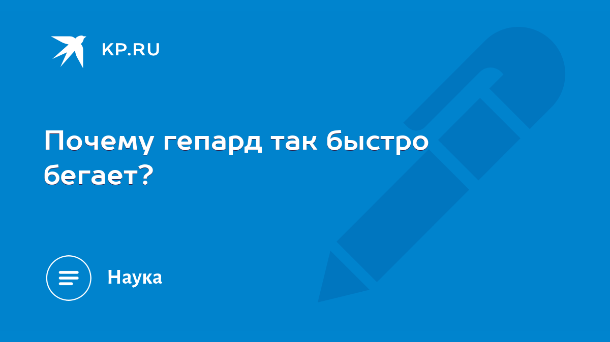 Почему гепард так быстро бегает? - KP.RU